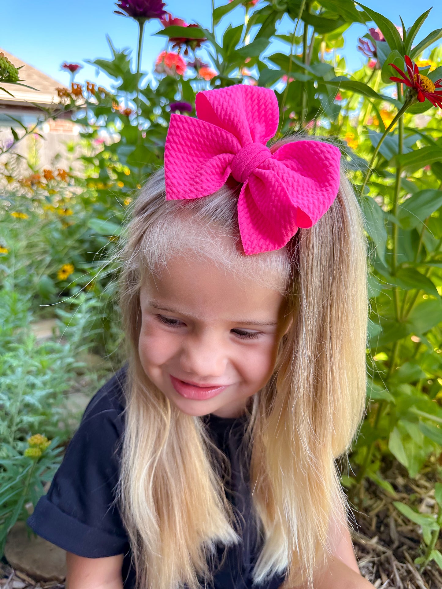 Knockout Pink Pinwheel