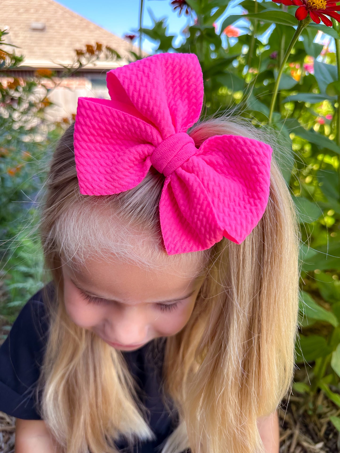Knockout Pink Pinwheel