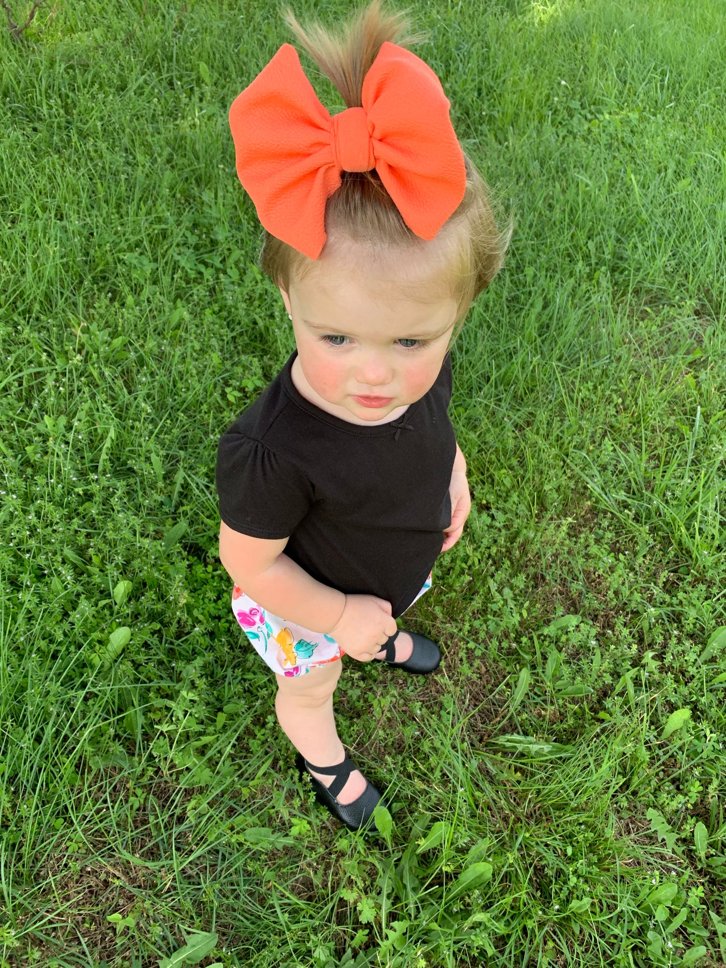 Salmon Bows