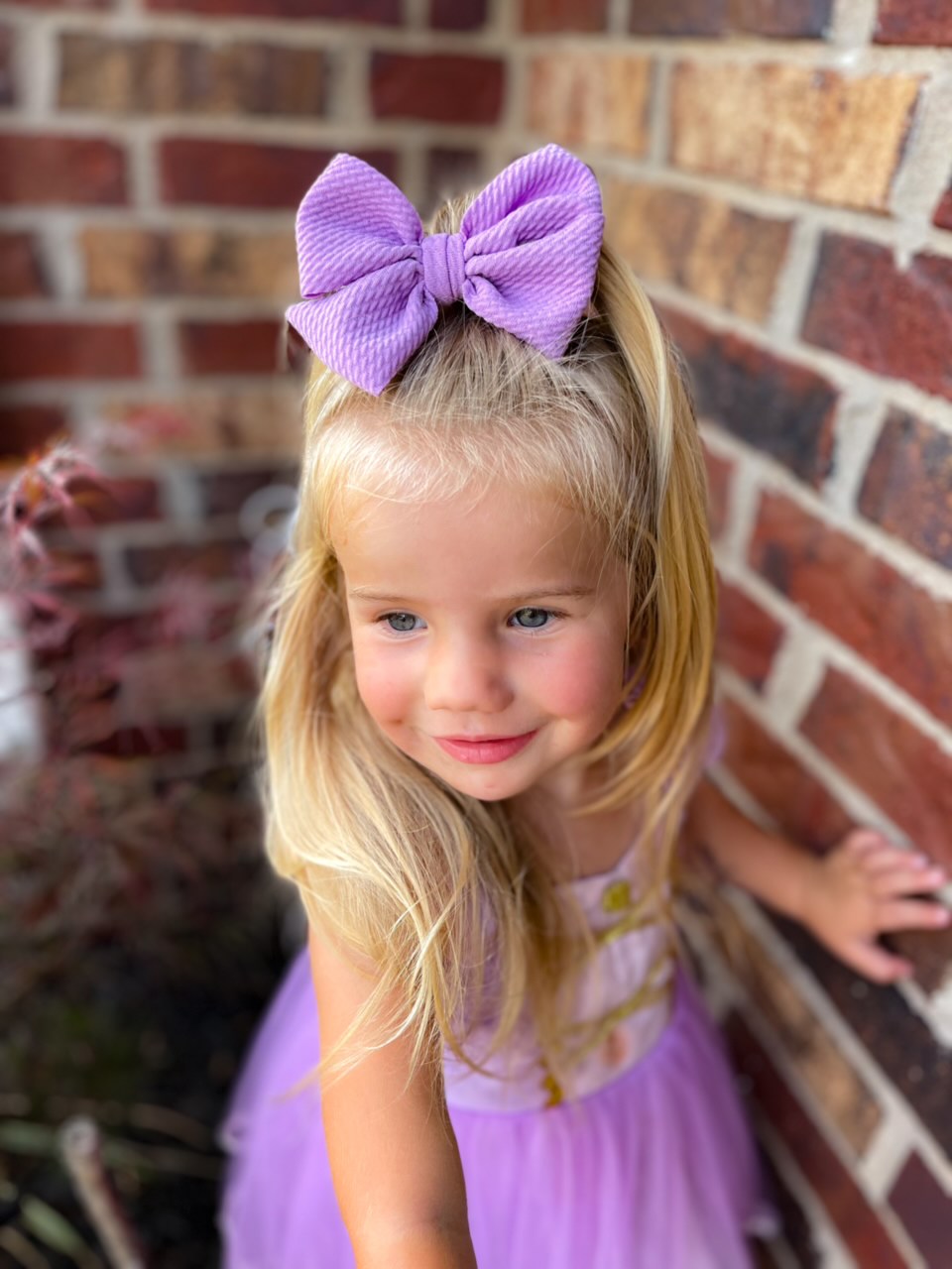 Lilac Pinwheel