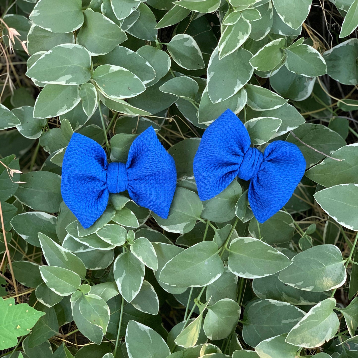 Dory Piggies