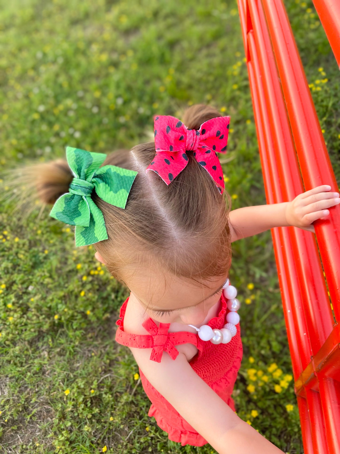 Watermelon Rind Pigtails